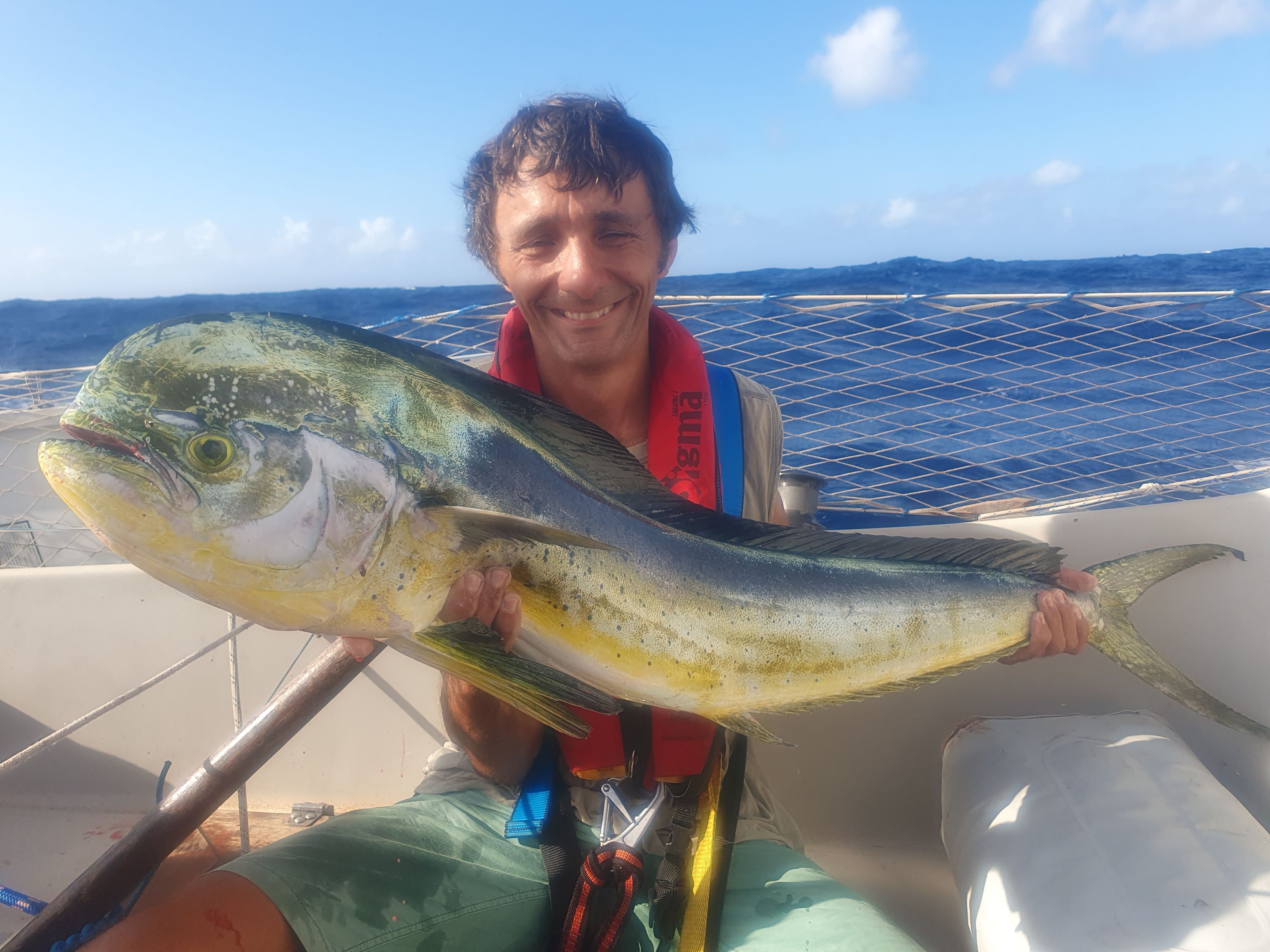 Mahi Mahi